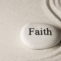 Transferable Faith 6